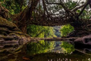 Read more about the article Hungarian found dead in Meghalaya