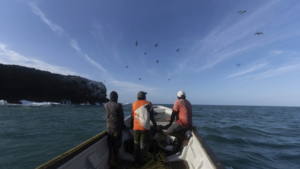 Read more about the article 5th Marine Fisheries Census initiated, actual enumeration to be held in Nov-Dec covering 3,500 coastal villages