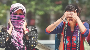 Read more about the article Study estimates at least 35,000 lives in India lost to extreme temperatures during 2001-2019
