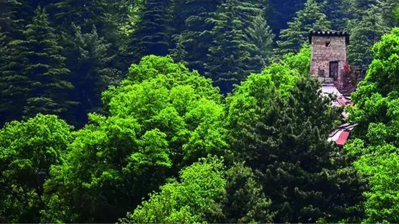 You are currently viewing Pahalgam fallout: Fearing India hit, Pakistan empties out terror launch pads off LoC