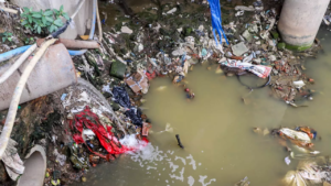 Read more about the article Deadline looming, MCD met just 21% of desilting target by end of April