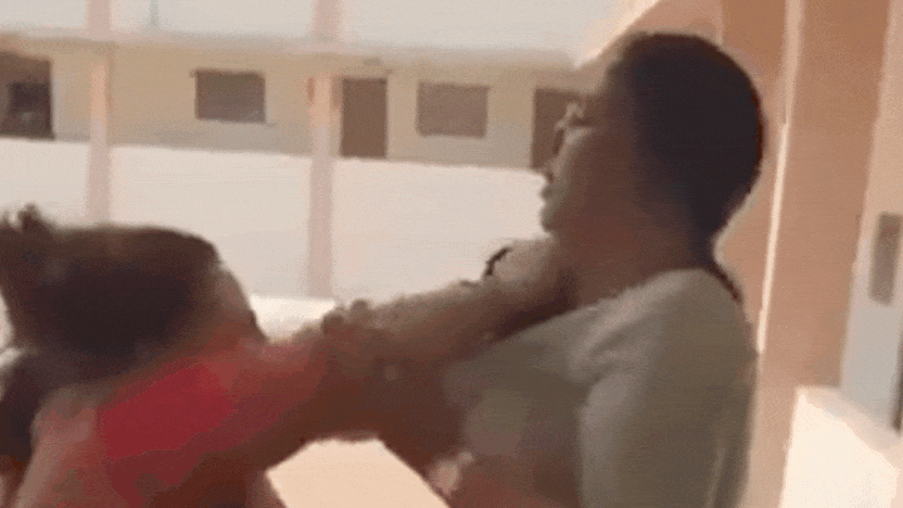 You are currently viewing Slaps, screams, and smashed phones: MP school principal, librarian clash on camera