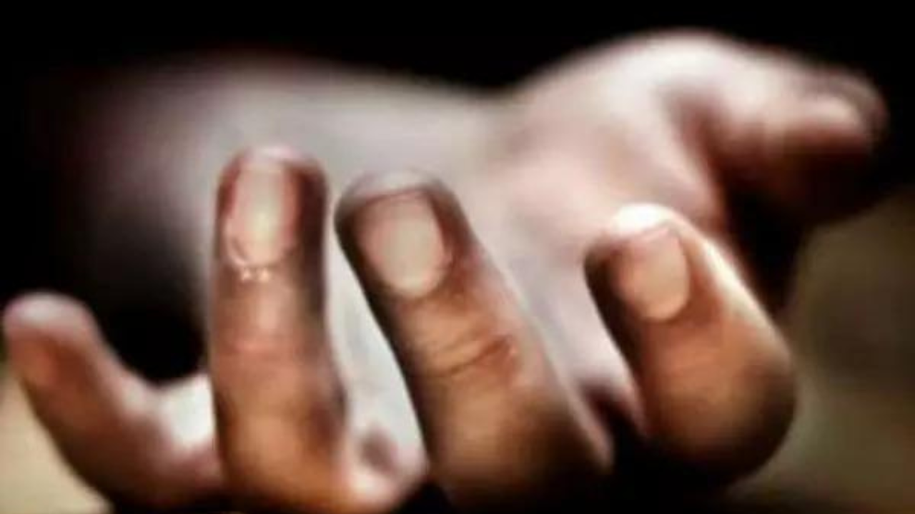 Read more about the article 2 tourists die in Kullu tree fall; 5 killed as pickup falls into gorge