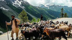 Read more about the article Centre OKs 85% quota for locals in jobs in Ladakh