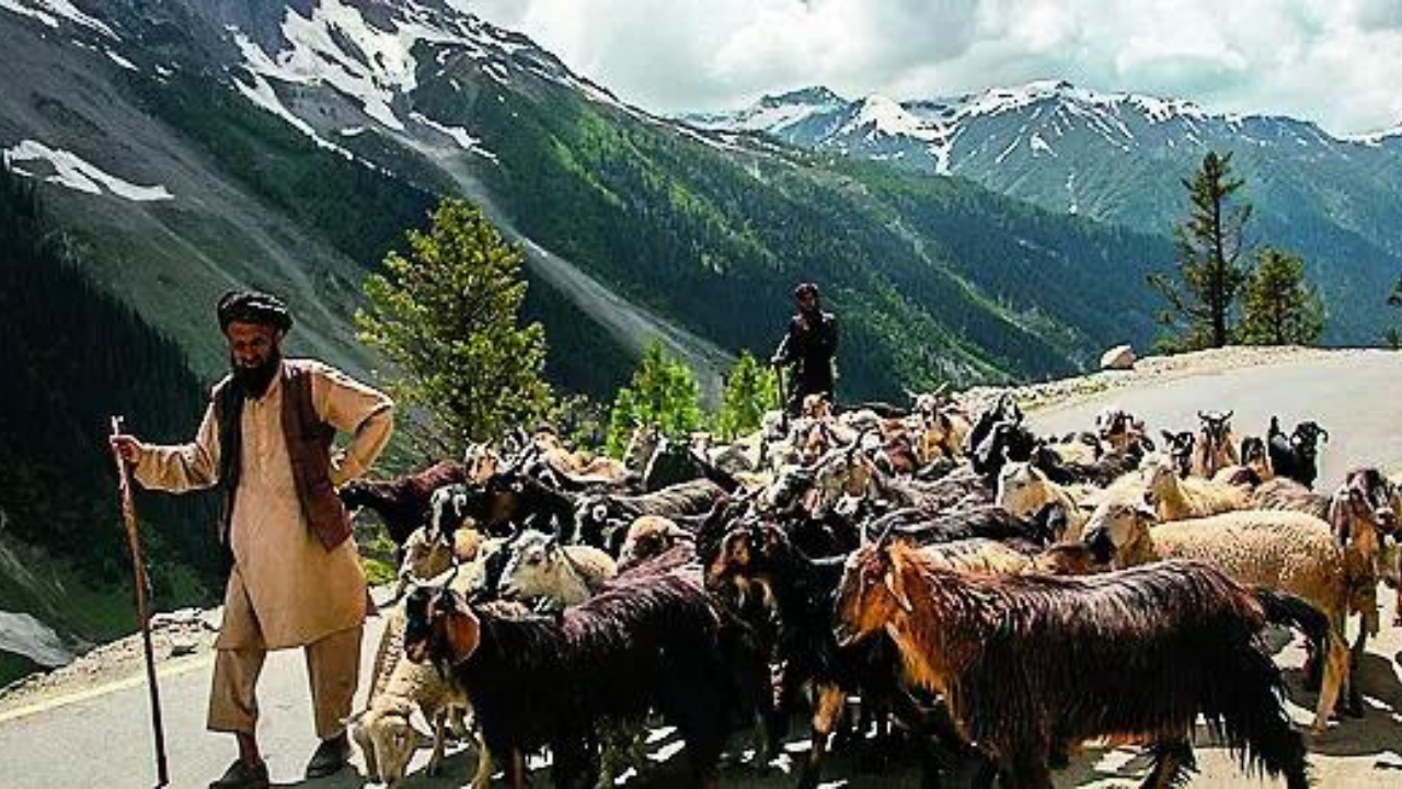You are currently viewing Centre OKs 85% quota for locals in jobs in Ladakh