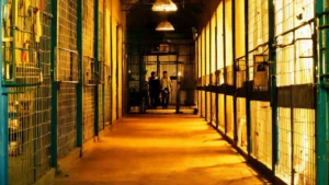 Read more about the article Murder inside Saket court lockup: Inmate killed by two others; old animosity suspected
