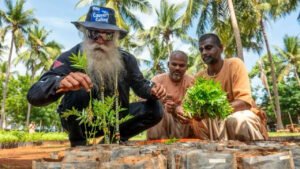 Read more about the article World Environment Day: Sadhguru’s Cauvery Calling adds 1.36 crore trees; aim to revive river