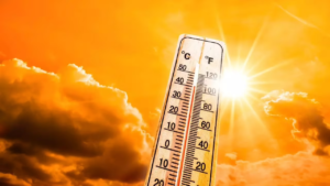 Read more about the article India’s annual mean temperature rise up from 25.05°C in 2001 to 25.74°C in 2024, Electricity generation from renewable sources increased more than three times in 10 years