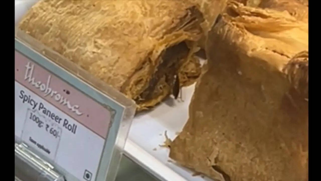 You are currently viewing ‘Literally what we were placing order for’: Cockroach crawls over paneer rolls at Mumbai Theobroma; video goes viral