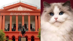 Read more about the article ‘Daisy has driven everyone crazy’: Karnataka HC dismisses case against man accused of stealing neighbour’s cat; calls it ‘frivolous’