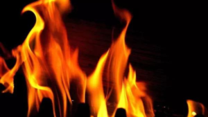 Read more about the article J&K assembly fire destroys historic photos