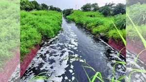Read more about the article 13 dead in 15 days as ‘toxic drain’ sparks health crisis in UP village