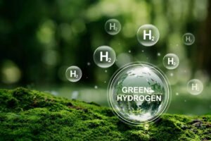 Read more about the article New type of number plates in offing for hydrogen vehicles