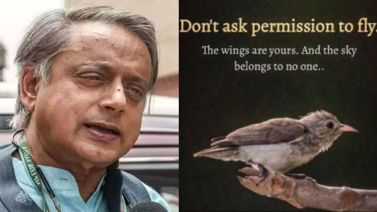 You are currently viewing ‘If there are issues … ‘: Shashi Tharoor reacts to his cryptic bird post- watch