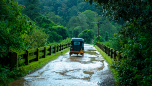 Read more about the article India to see above-normal July rainfall; Northeast, East & South may face deficit: IMD