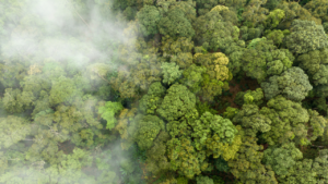 Read more about the article Environment ministry justifies tweak in sulphur dioxide emission norms for TPPs, calling it a pragmatic shift