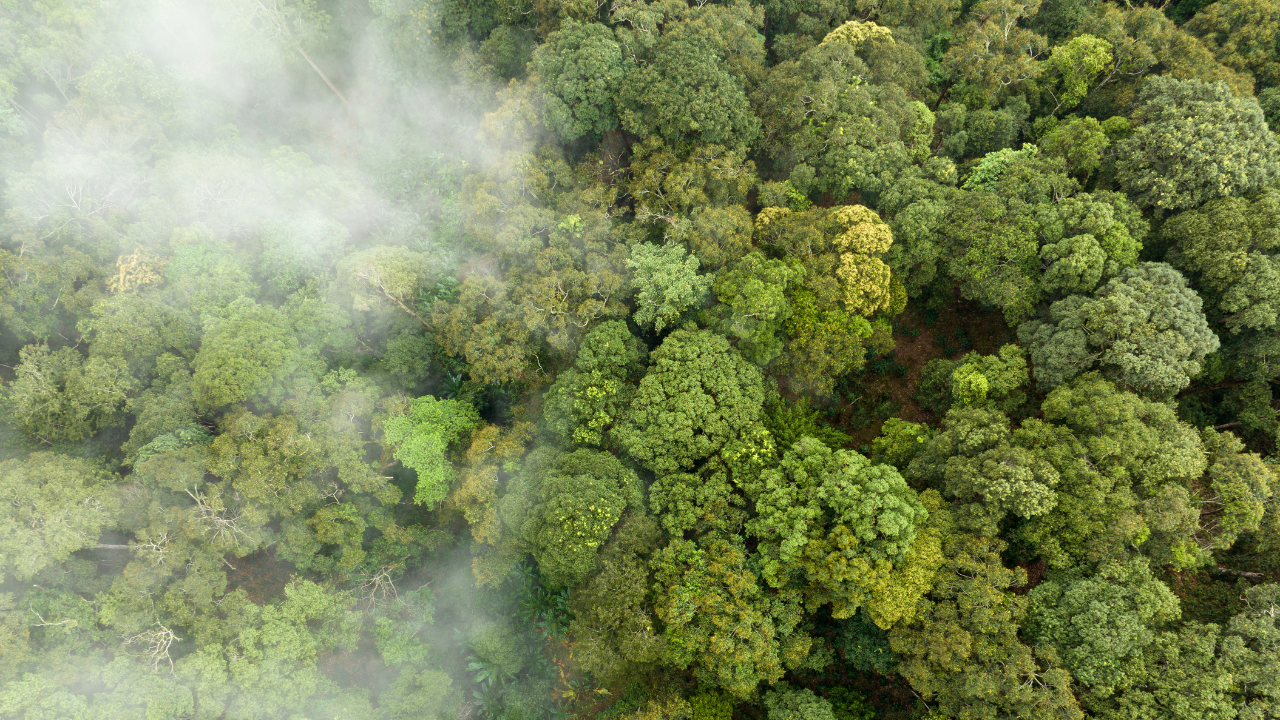 You are currently viewing Environment ministry justifies tweak in sulphur dioxide emission norms for TPPs, calling it a pragmatic shift