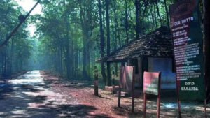Read more about the article Maoist mines turn Saranda’s forest into jumbo killing fields
