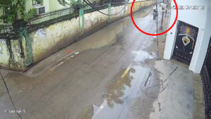 Read more about the article Patna hospital murder: New footage shows gunmen celebrating on street after mafia-style ICU hitjob – Watch