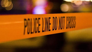 Read more about the article ‘They could have killed him’: Irish woman details Dublin mob attack on Indian man; says paedophile claim was false