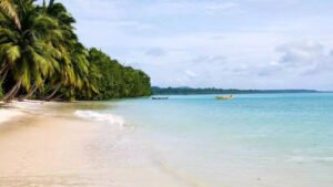 Read more about the article Andaman bank fraud: ED seizes documents revealing Rs 100 crore benami properties