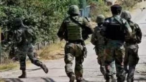 Read more about the article J&K: Army troops launch anti-terror operation in Kishtwar; gunfire exchanged