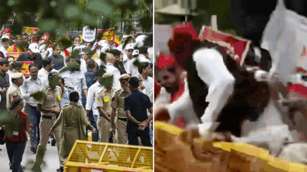 You are currently viewing SIR row: High drama at opposition MPs’ march to EC; Akhilesh Yadav jumps barricade; Rahul Gandhi detained – Key points