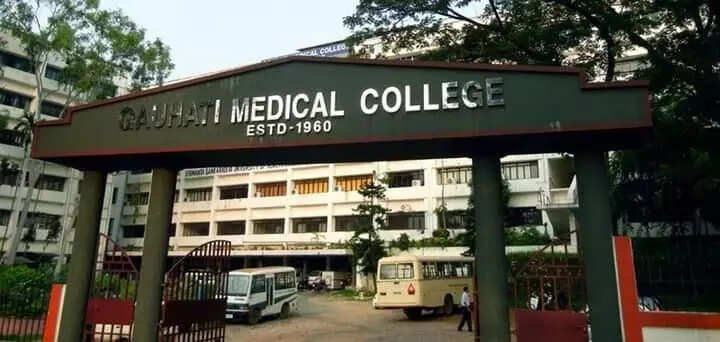 You are currently viewing 4-day-old dies after fall in ICU, probe ordered
