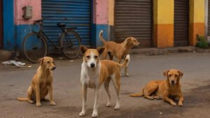 Read more about the article MCD & few ABC centres relocating sterilised dogs, allege animal lovers