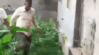 You are currently viewing Jumped wall, threw phone in drain: How TMC MLA tried to evade ED, only to be later arrested – Video