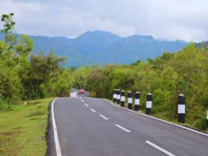 Read more about the article Nearly 30% of private cars on Delhi-Chandigarh highway using annual pass