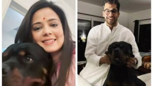 Read more about the article Mahua Moitra vs Jai Dehadrai over pet Henry: Why don’t you sit together and sort it out, asks Delhi HC