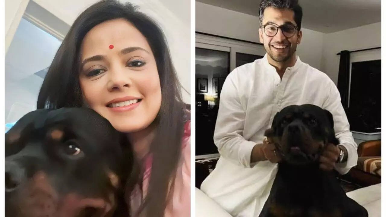 You are currently viewing Mahua Moitra vs Jai Dehadrai over pet Henry: Why don’t you sit together and sort it out, asks Delhi HC